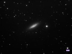 NGC 6503
